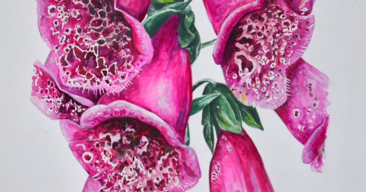 Drawing & Painting Workshop - Foxglove Botanical