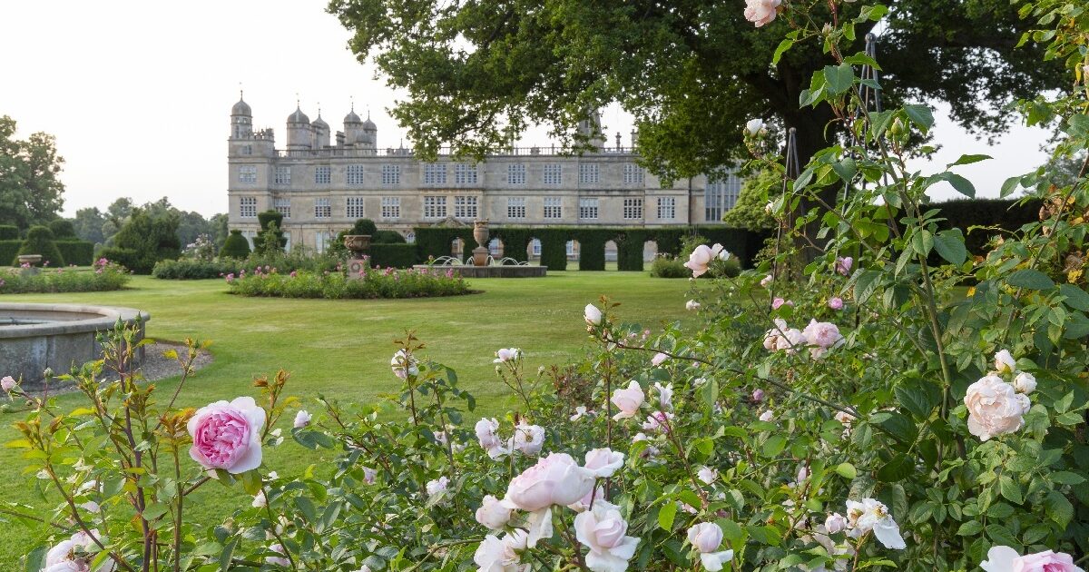 Rose Tour, Talk & Tea in the Gardens